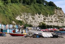 Beer Beach景点图片