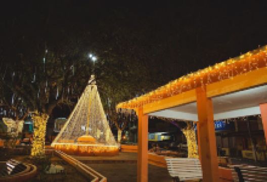 Praça Centenária景点图片