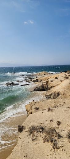 Cedar Forest of Alyko-纳克索斯