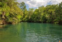 Territory Wildlife Park / Berry Springs Nature Park景点图片