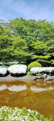 Matsugachi Park-长井市