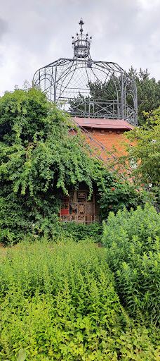 Alter Botanischer Garten-基尔
