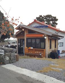 为美里山茶树群-西归浦市