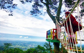 Sigembok Hill Top