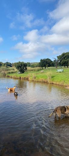 约翰内斯堡植物园-兰德堡