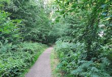 Waldspielplatz景点图片