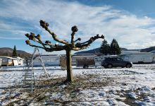 Hauswart u.Gartenpflege Pohlenz景点图片
