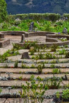 The Edge Labyrinth-阿玛索雷区自治市