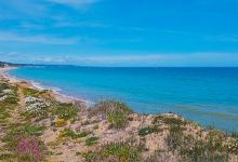 Spiaggia di Santo Stefano景点图片