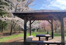 Sakurazaka Park景点图片