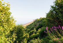 Stariski State Recreational Site景点图片