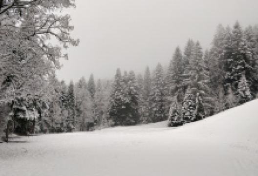 Rickenbach景点图片