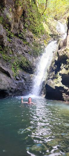 West Maui Forest Reserve-茂宜县