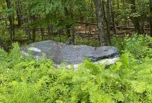 Orca Rock景点图片