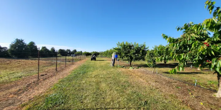 George and Sue's Cherry Farm & Produce
