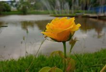 Parque de Eventos e Praça de Esportes景点图片
