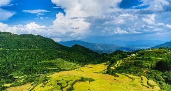 馬羅梯田