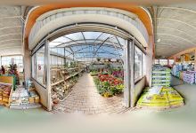 Pépinière de Sainte-Tulle (Bonheur Jardin / Jardinerie Gonzalvez)购物图片