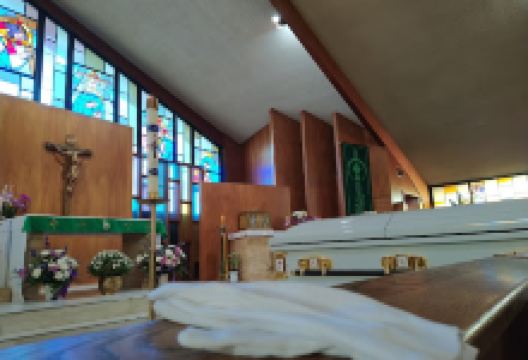 Mater Dolorosa Church景点图片