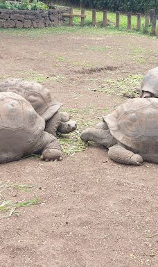 七色土-毛里求斯