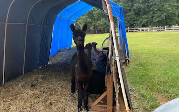 OnAgain OffAgain Farm