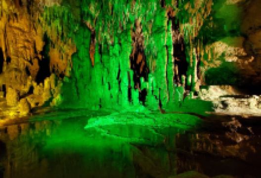 Florida Caverns State Park景点图片