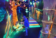 Museum 6D景点图片