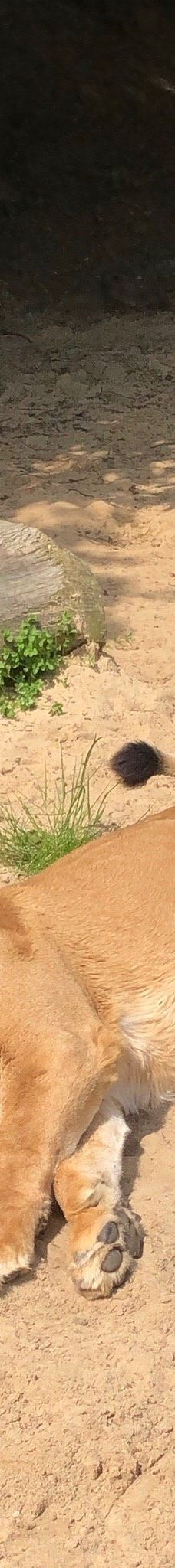 Zoo Kosice-科希策1区