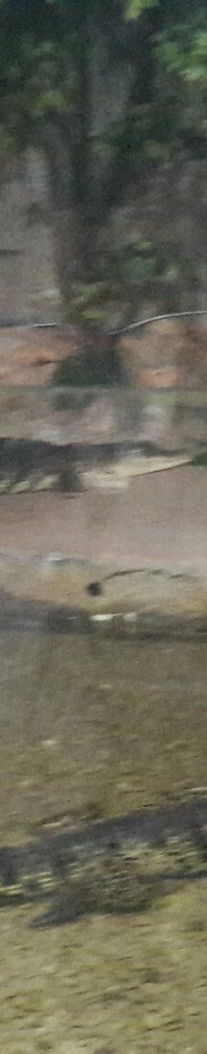 Deniz Dunyasi-安卡拉