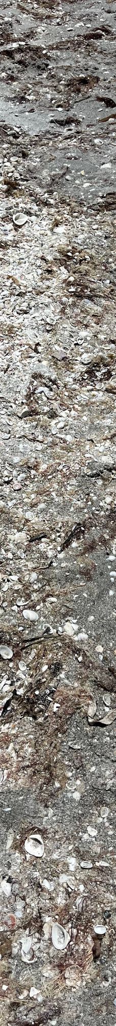 Bowman's Beach-萨尼贝尔