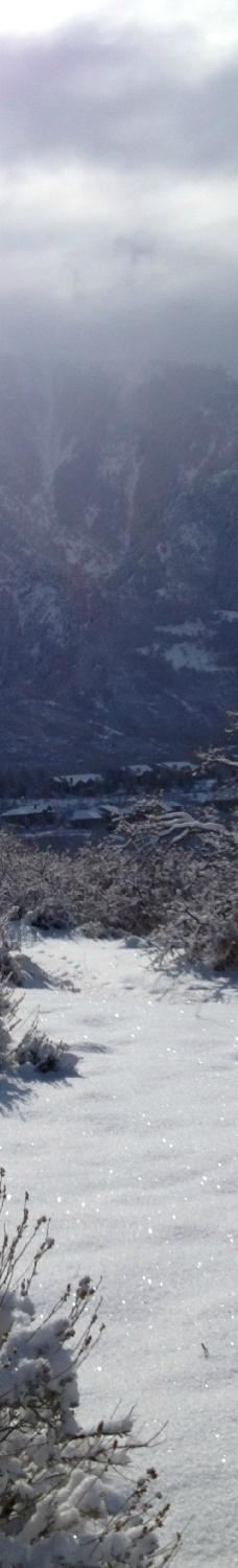 Dimple Dell Regional Park-山迪