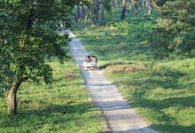 Gorumara Forest Bungalow景点图片