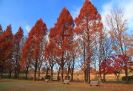 三乡公园景点图片