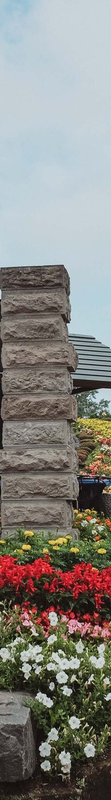 菅野农场-上富良野町