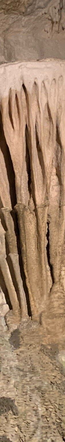 Ngarua Caves-Takaka Hill