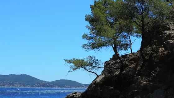 Anse Magaud