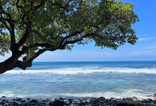 Banyan's Beach景点图片