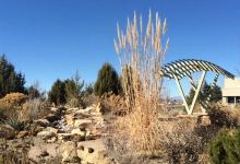 Montrose Botanic Gardens景点图片