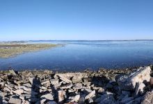 Sentier du Delta de la Leyre景点图片