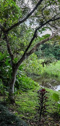 Finca Cantaros-圣维托