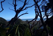 Pararaha Valley Track景点图片