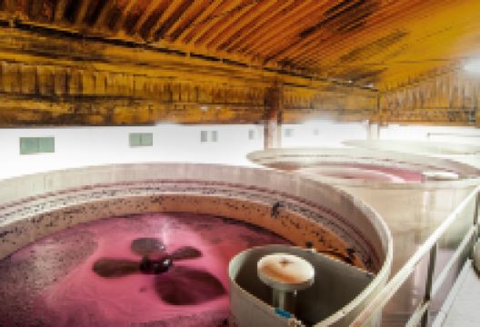 Filipe Palhoca Wines景点图片