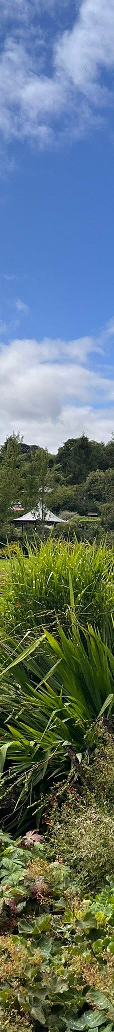 Central Park-霍沃思