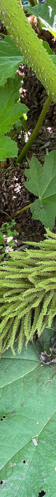 Kræmmerhuset kunsthåndværk-伦讷