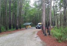 Lumber River State Park Chalk Banks景点图片