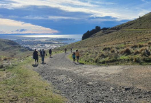 Mount Vernon景点图片