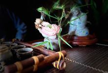 Van Phuc Pagoda景点图片