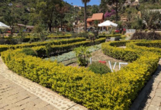 Jardin Botanique Anosy景点图片