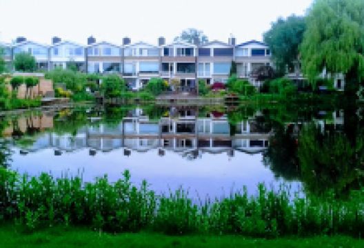 Park Adegeest景点图片