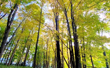 Seth Low Pierrepont State Park